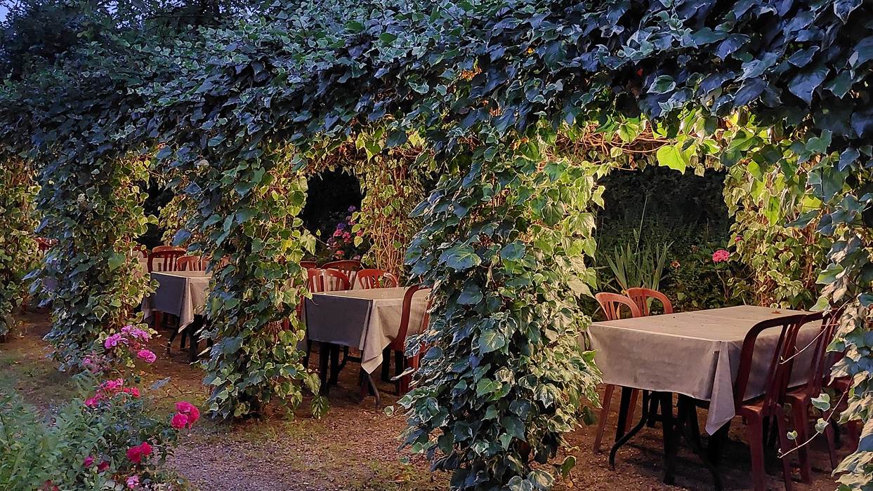 20240727_213933 Tonelle végétalisée éclairée-gallery