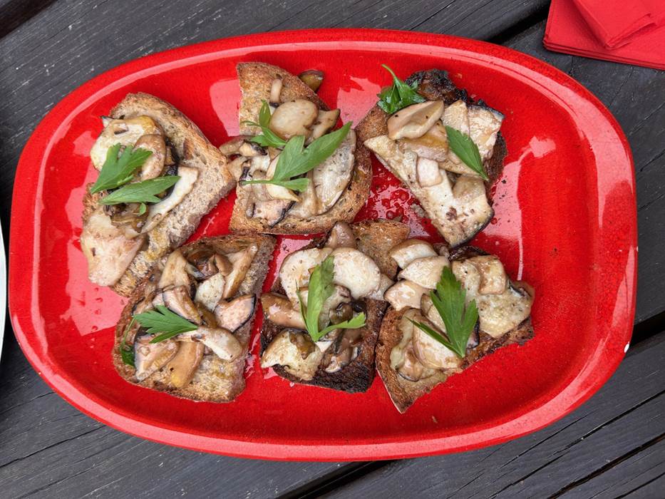 pan con ceps-gallery