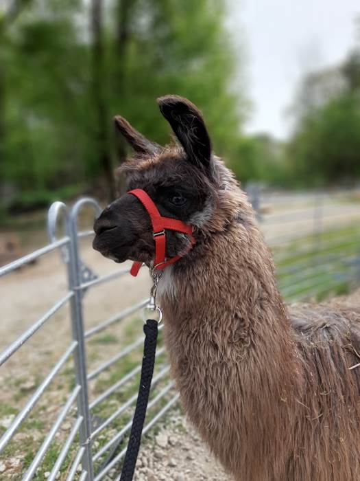 Prêt au départ-gallery