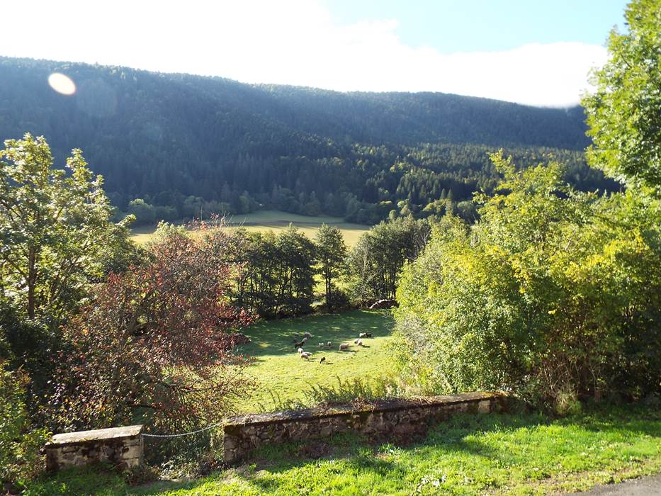 Gîte Grëgory-gallery