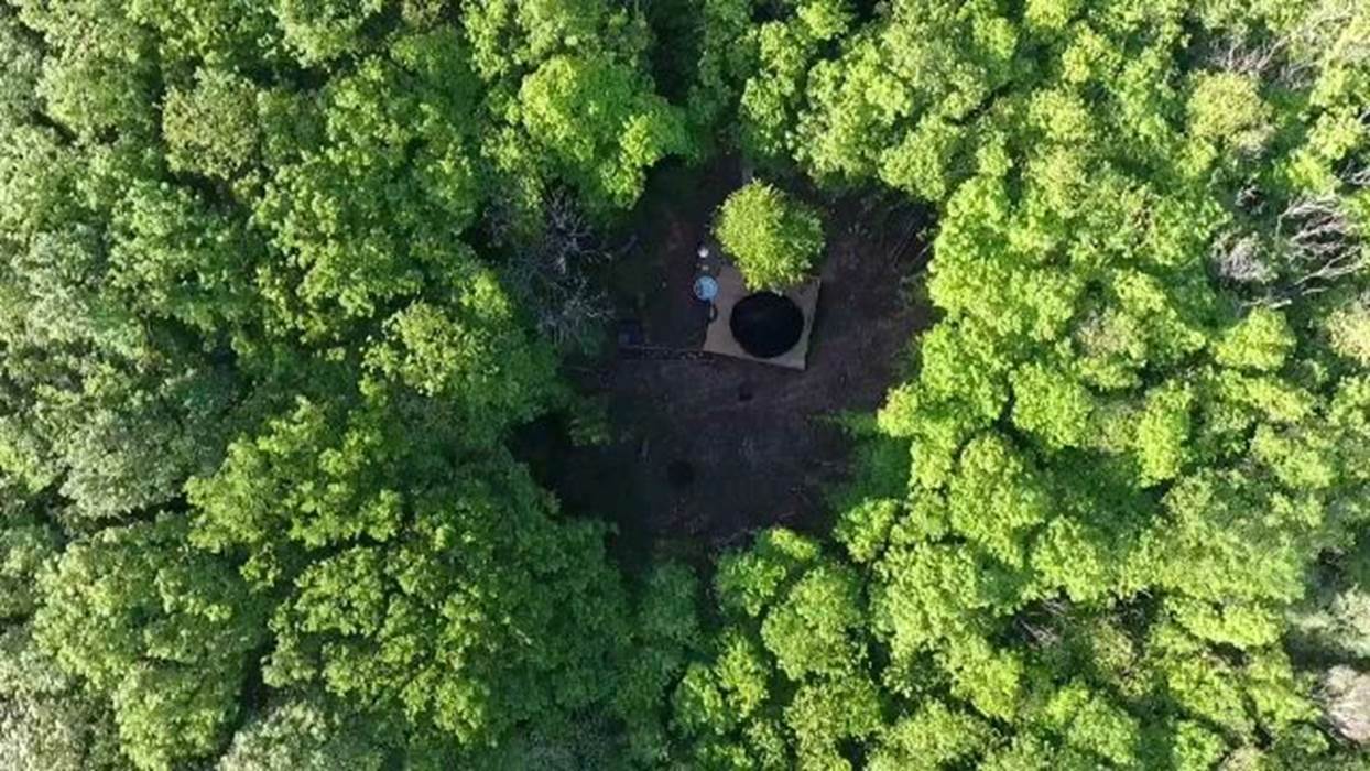 Bulle au cœur de la foret vue du ciel-gallery