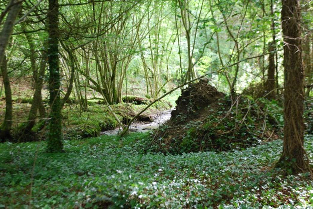 le ruisseau des fantaisies Vervialle 87120 Augne-gallery