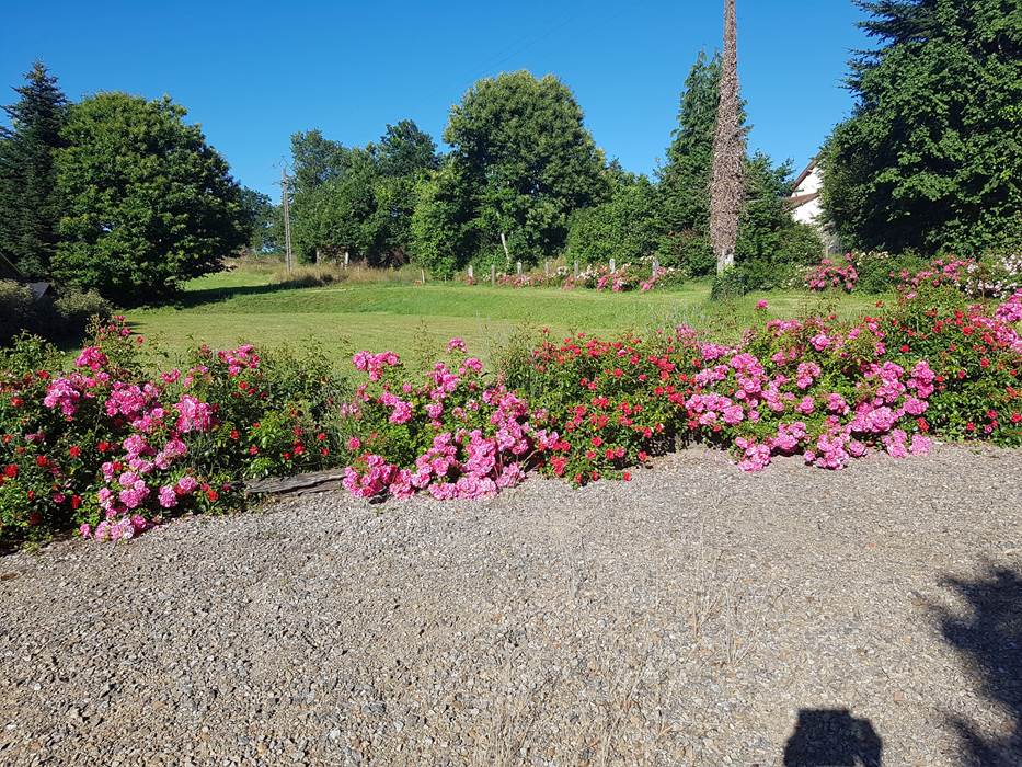 jardin fleuri Le Ranch des Lacs-gallery
