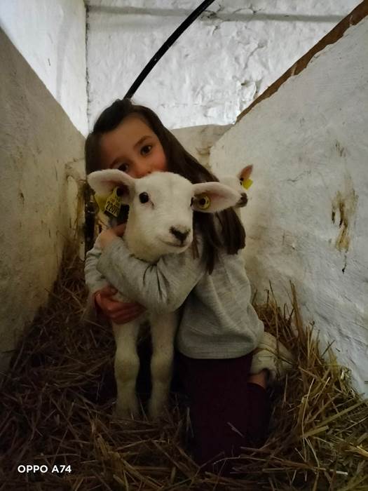 animaux de la ferme-gallery