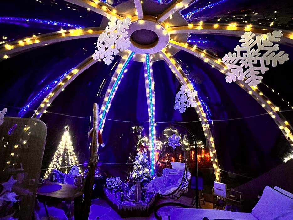 Bulle de nuit en hiver-gallery