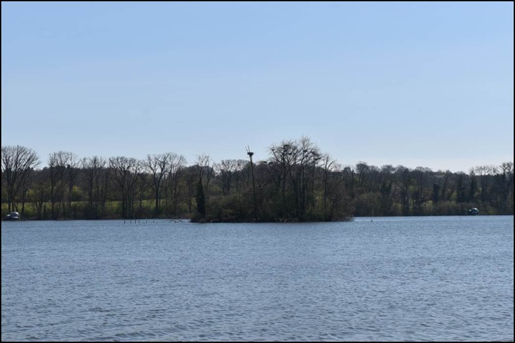 Vue étang