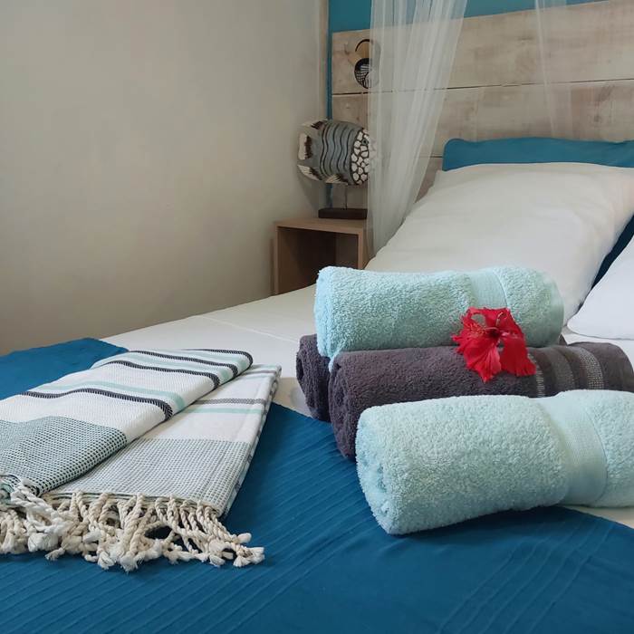 le FLAMBOYANT Chambre 2