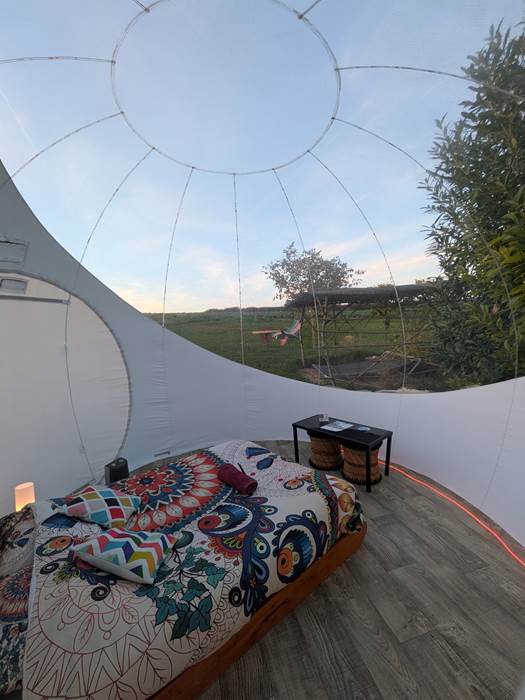 9a687314-af09-4935-9e62-063292cdc867-1_all_564