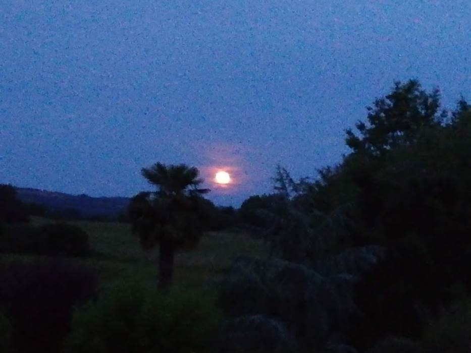coucher de soleil