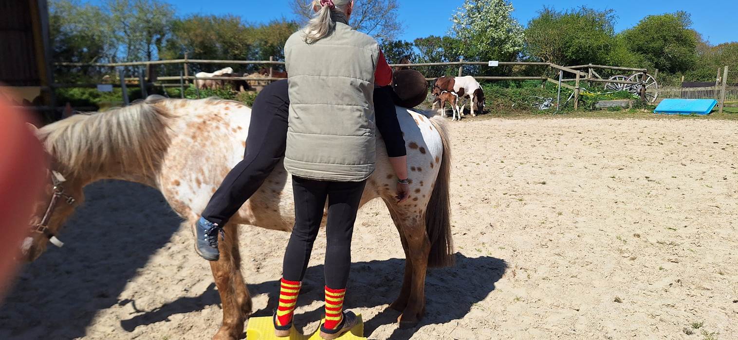 Equinergie Soulager vos douleurs physique, psychologique grâce a nos chevaux avec l'énergie