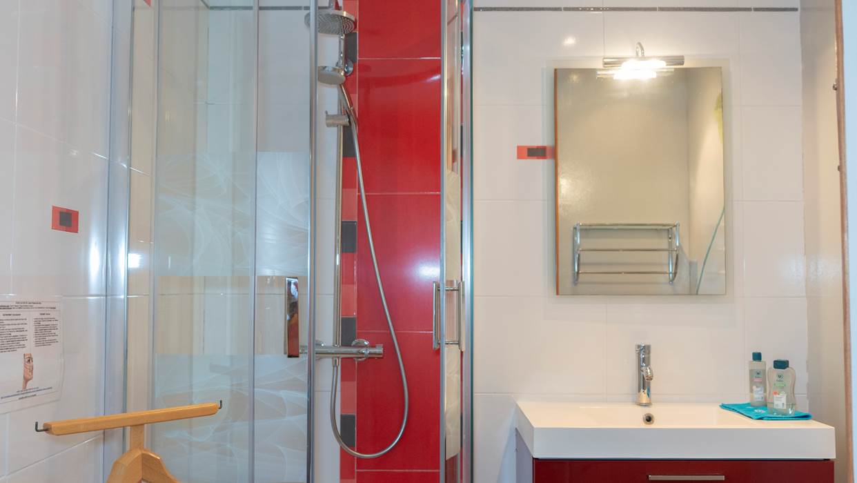 salle de bain vasques - gel douche  et shampoing  de courtoisie