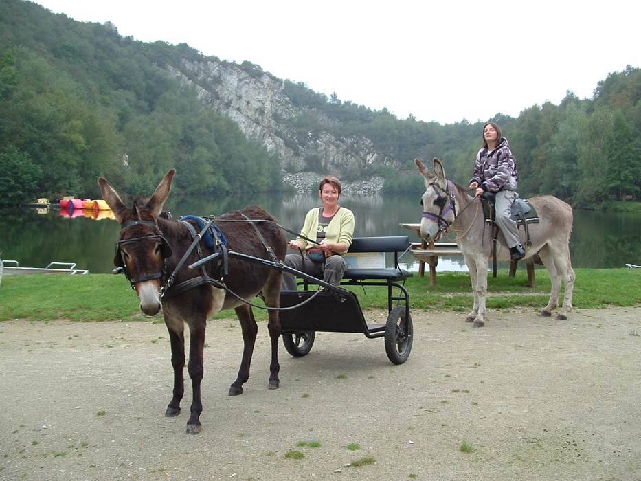 Promenade a velos, en âne attelé ou poney monté visiter cite mégalithique, château gallo romain, église plan d'eau avec barque et pédalos