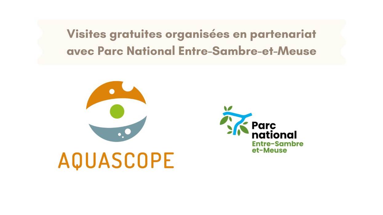 Montage visites PN ESEM