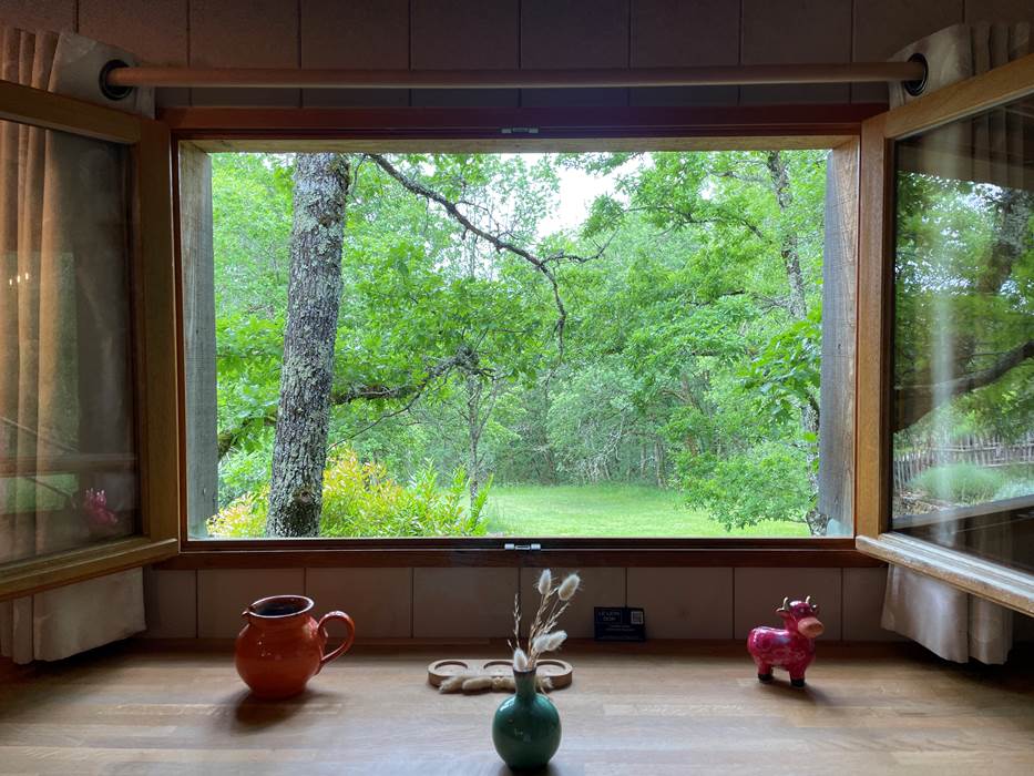 Vue depuis la table - Cabane MELEZE