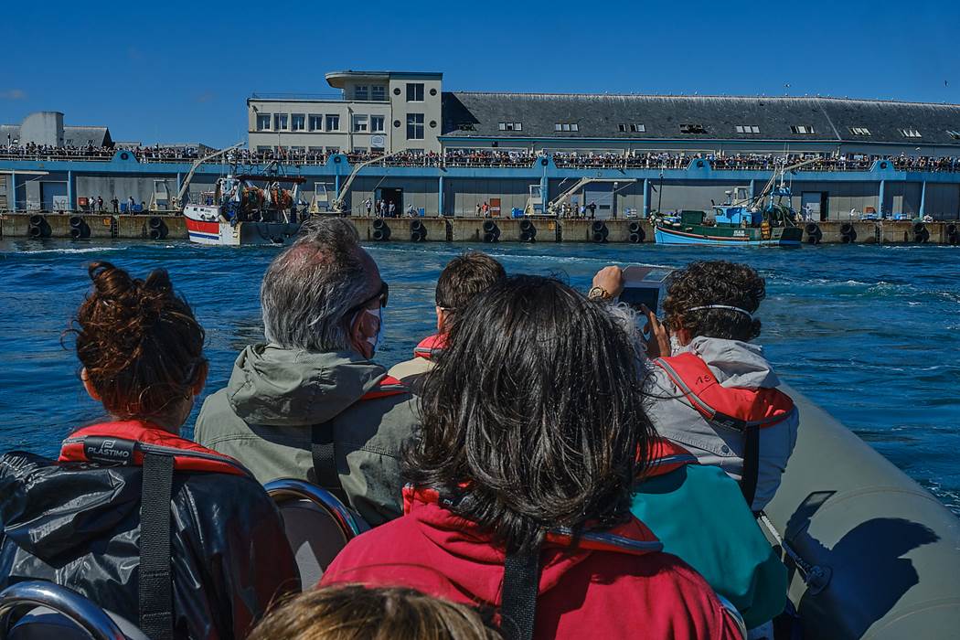 Assister au retour des chalutiers depuis la mer