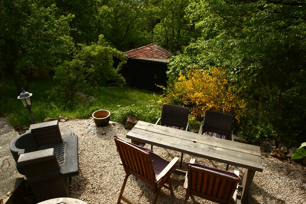 Canopée - terrasse