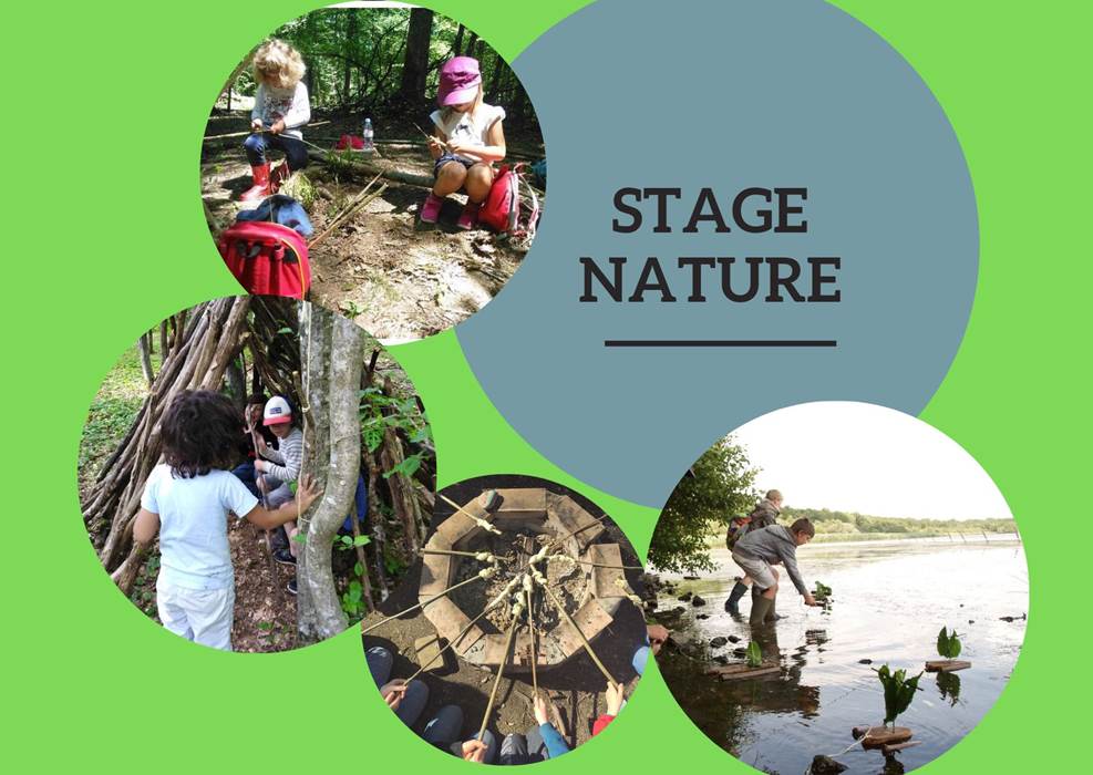 Stage nature à l'Aquascope Virelles