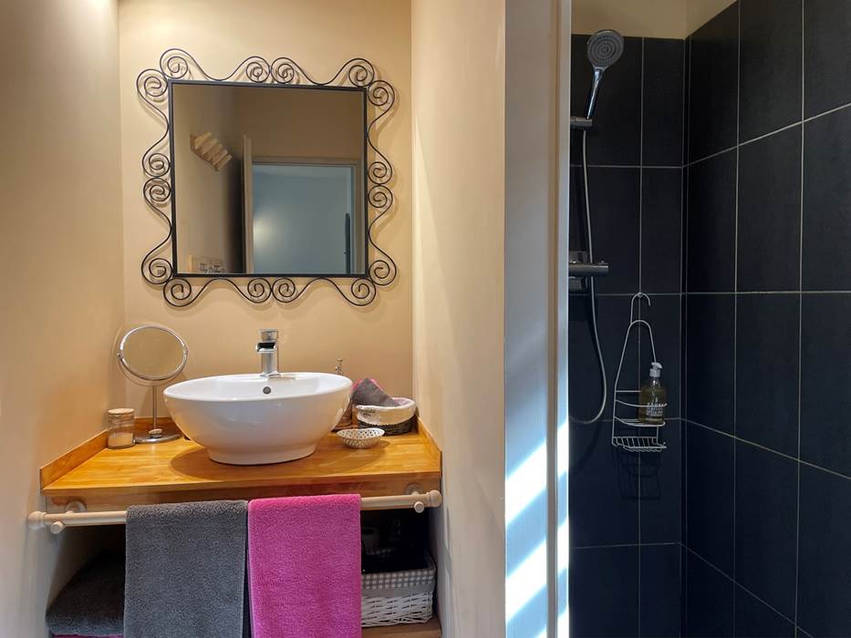 Salle d'eau & Douche à l'italienne - Chambre MAUZAC (RDC)