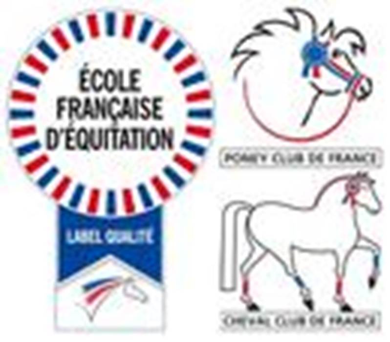Label-EFE_listitem_no_crop