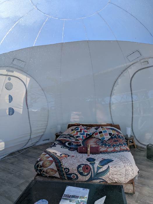 9a687314-af09-4935-9e62-063292cdc867-1_all_556