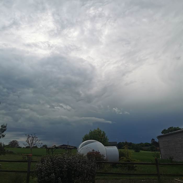 9a687314-af09-4935-9e62-063292cdc867-1_all_1591