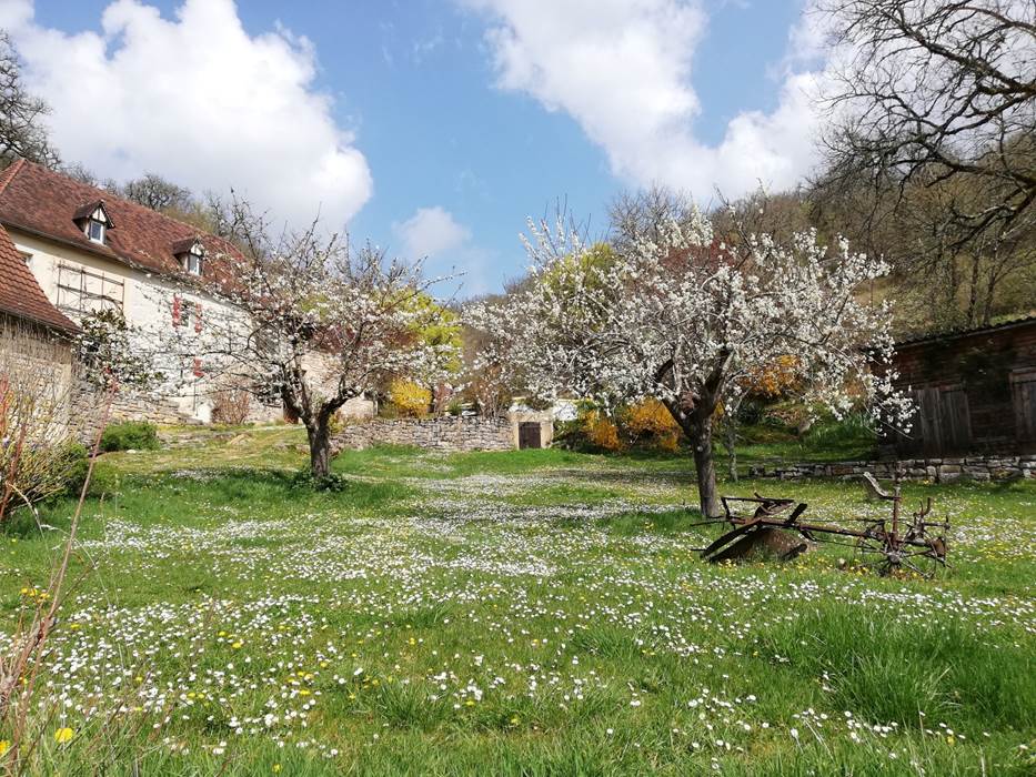 Jardin en fleur grand gite