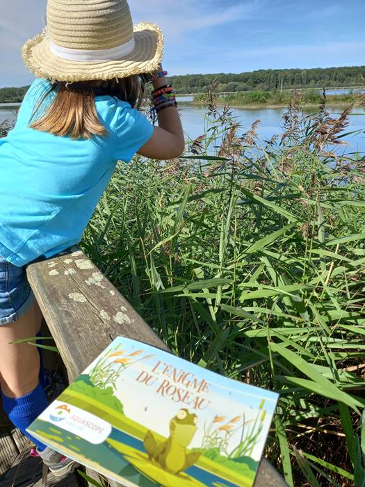 L'énigme du roseau_observation