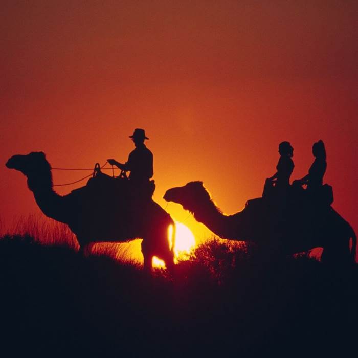 CAMEL 2