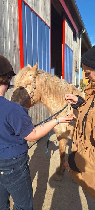 Equinergie Soulager vos douleurs physique, psychologique grâce a nos chevaux avec l'énergie