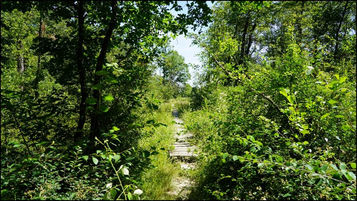 Chemin zone privée