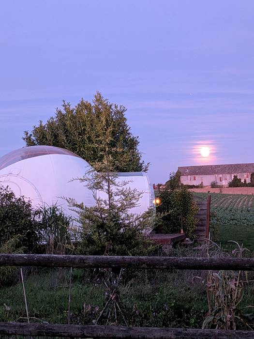 9a687314-af09-4935-9e62-063292cdc867-1_all_570