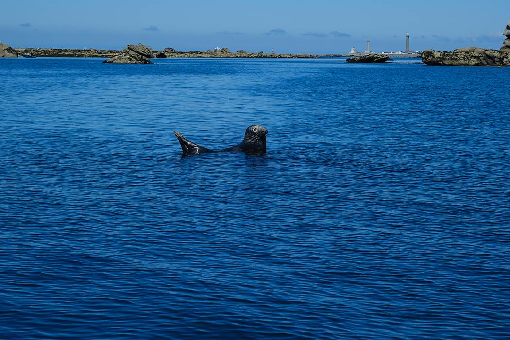 Bien à l'abri dans les Etocs au large du phare d'Eckmul de Penmarch