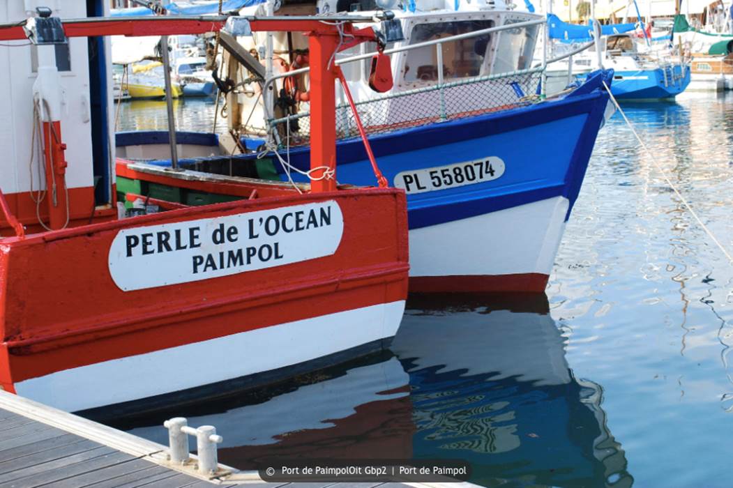 Port de Paimpol bateaux