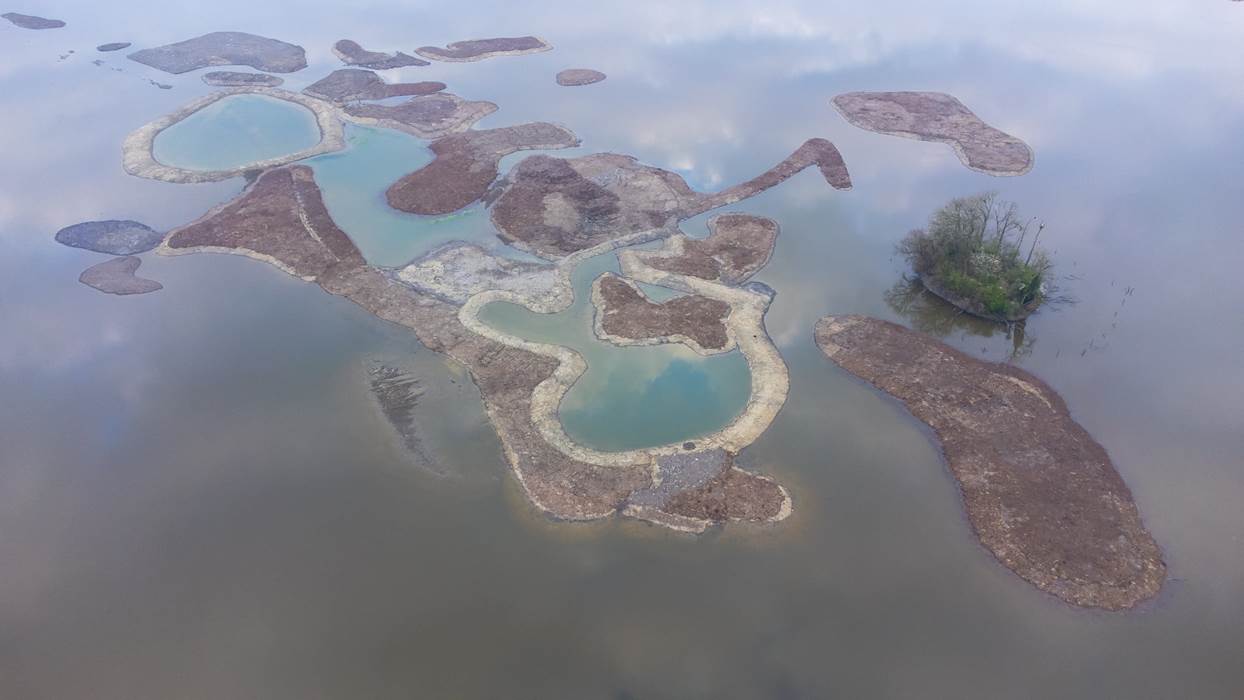 îlots étang de Virelles