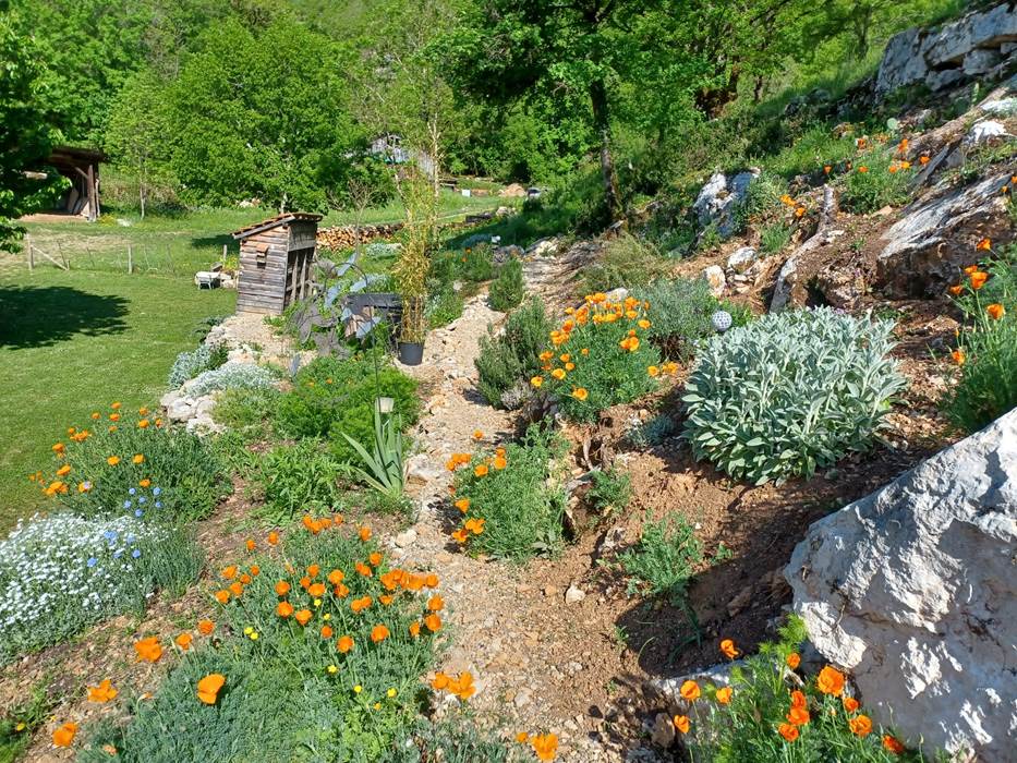 Allée du jardin