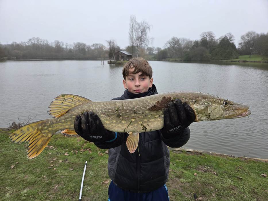 Brochet
