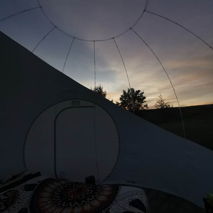 9a687314-af09-4935-9e62-063292cdc867-1_all_1590