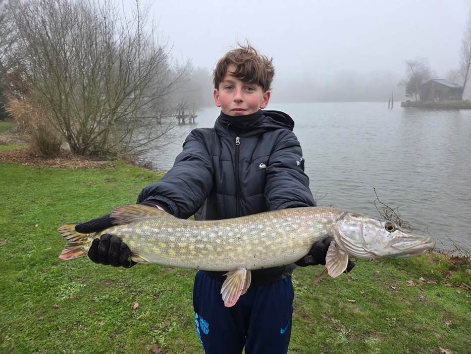 Brochet