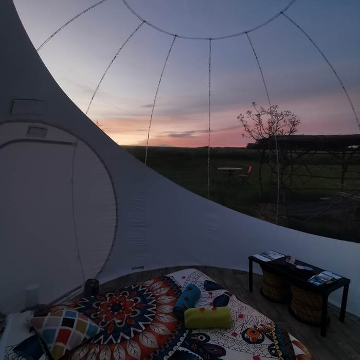 9a687314-af09-4935-9e62-063292cdc867-1_all_1605