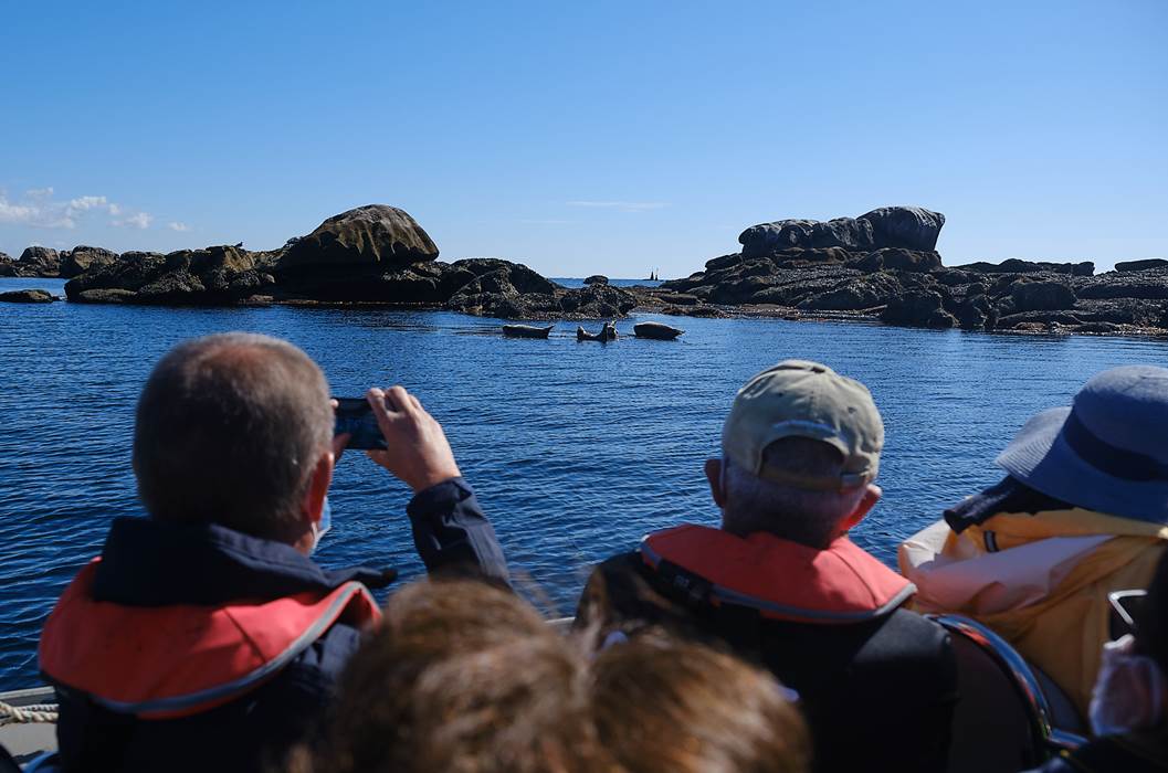 Une balade nature en mer exceptionnelle