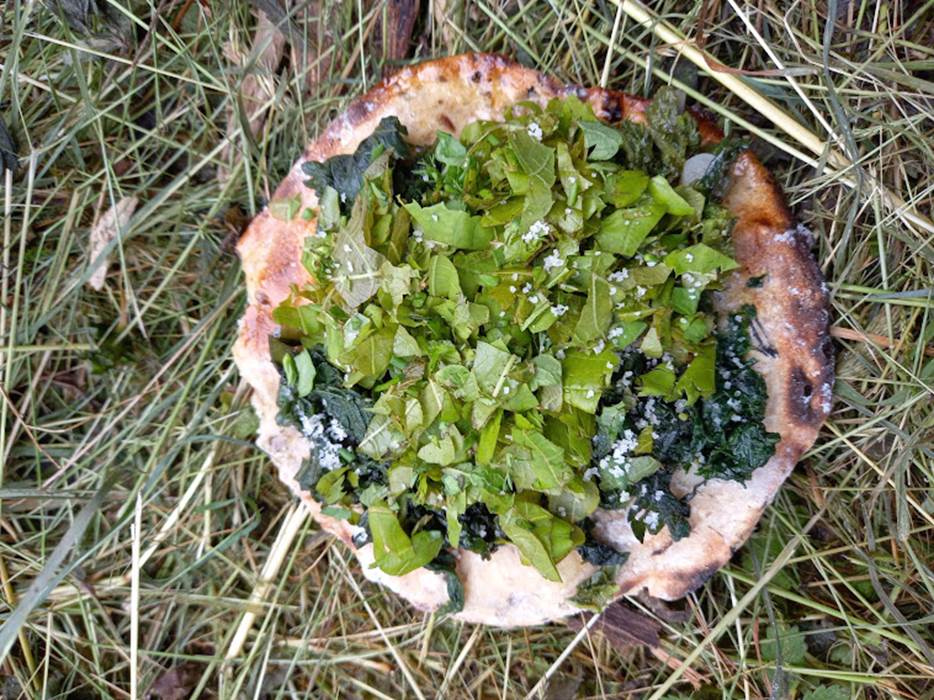 Repas_A base de plantes