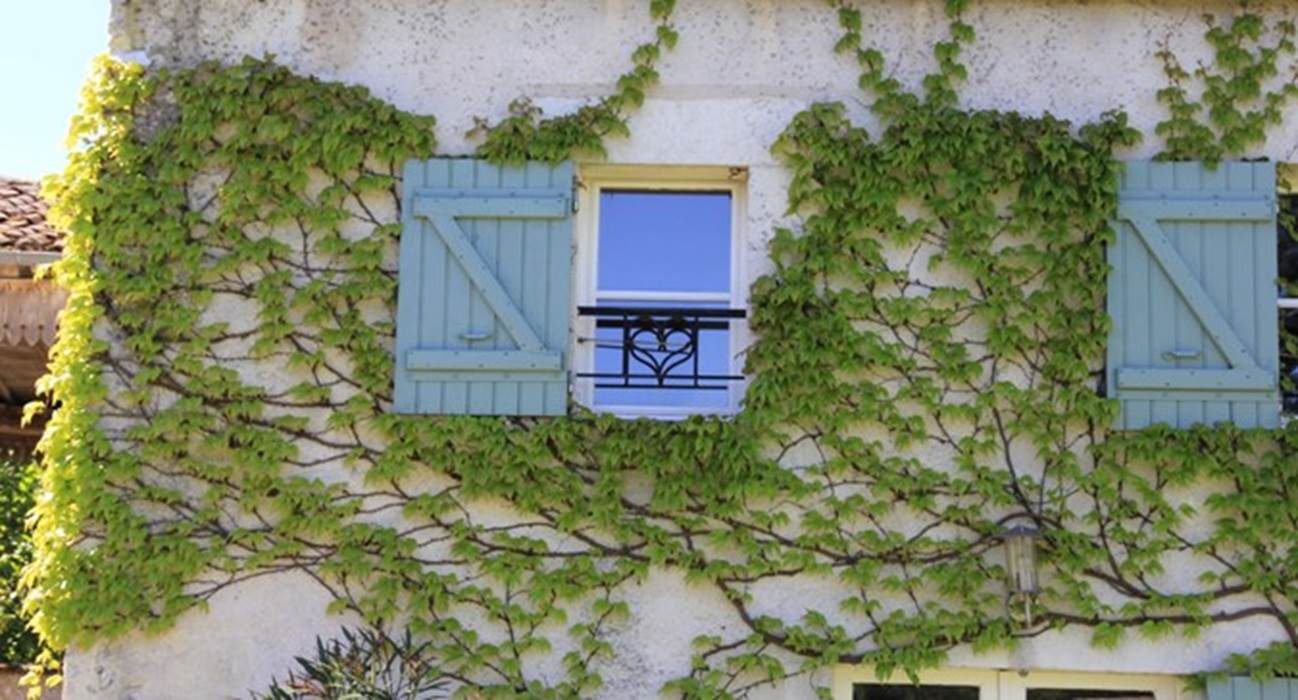 fenêtres des chambres lits jumeaux