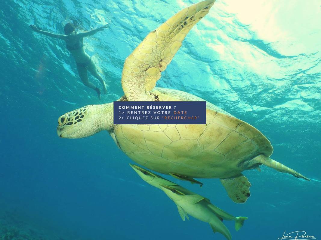 Couverture site RESA (1600 x 1200 px)(2)-gallery-home