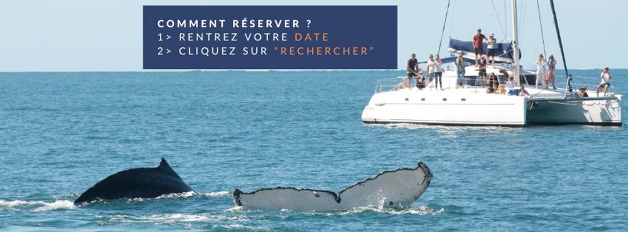 Couverture PAGES fb et RESA(2)-gallery-home