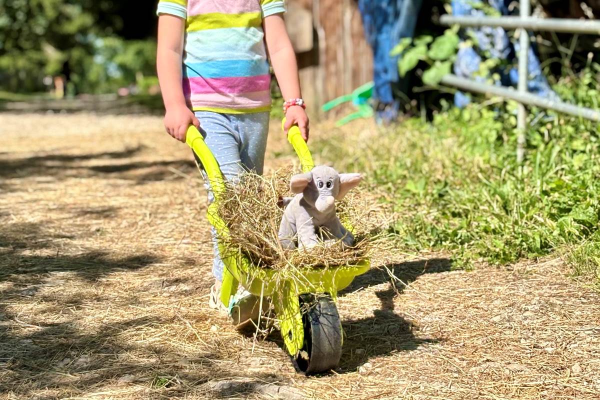 PETIT FERMIER-gallery