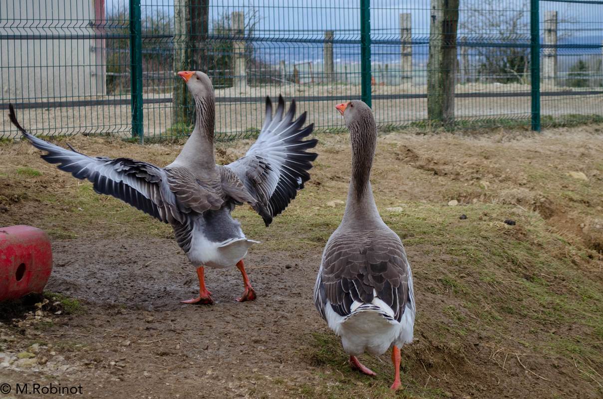 14022022-DSC_0563