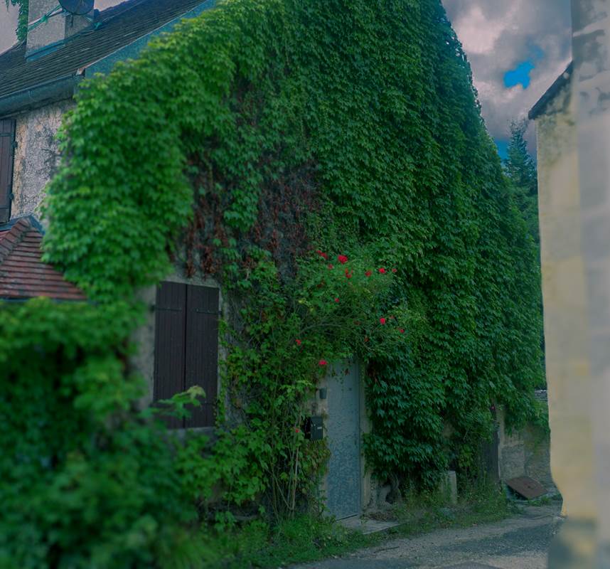 Extérieur avec lierre-gallery