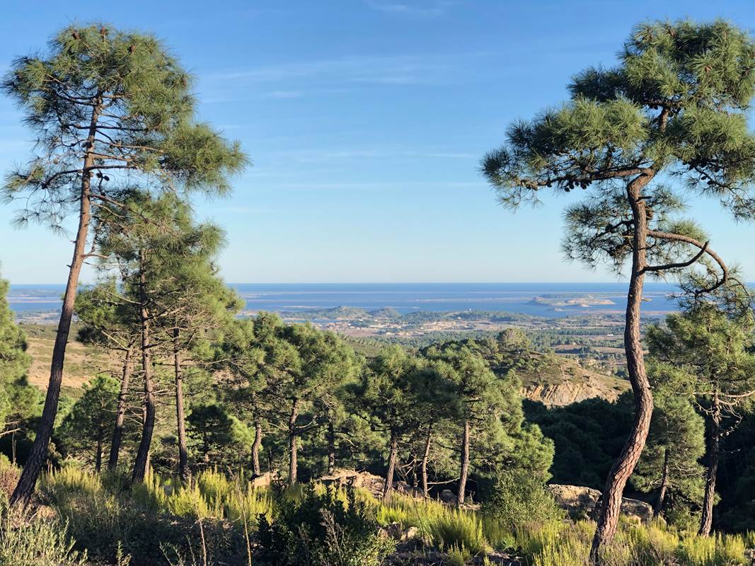 balade dans le massif de Fonfroide