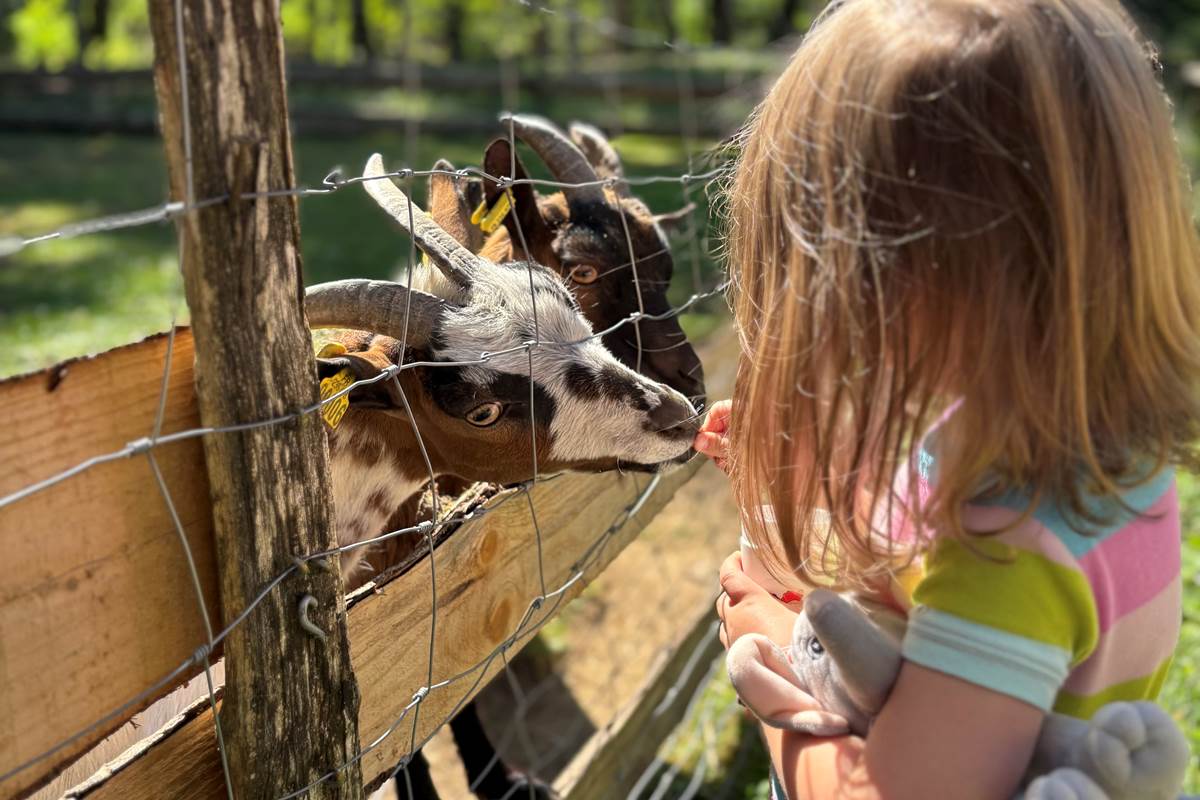 PETITE FERMIÈRE-gallery