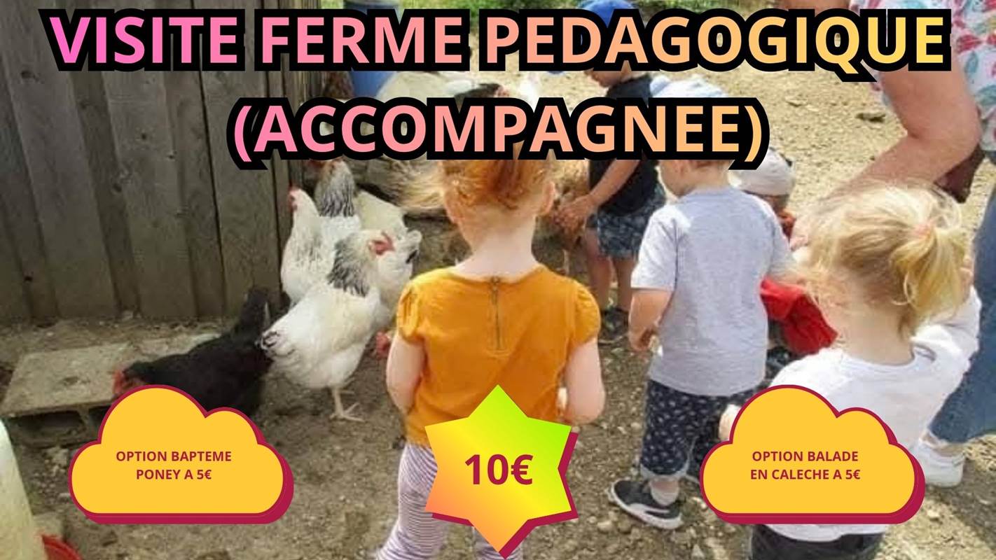 L’écurie du Vermois (4)